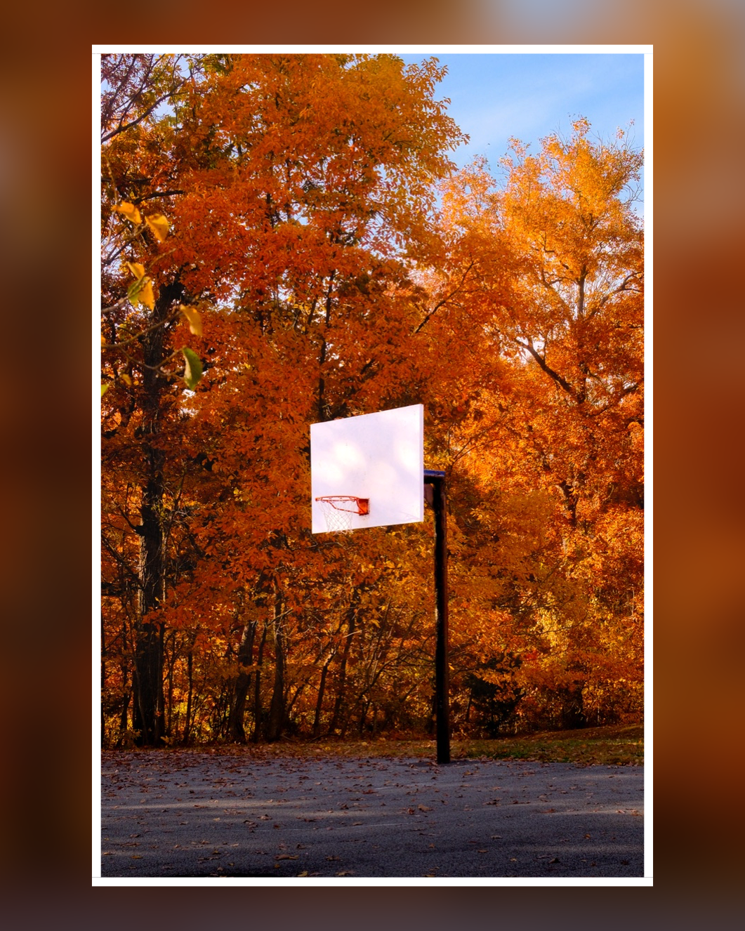 A basketball hoop among autumn leaves with a white border over a blurred photographic background