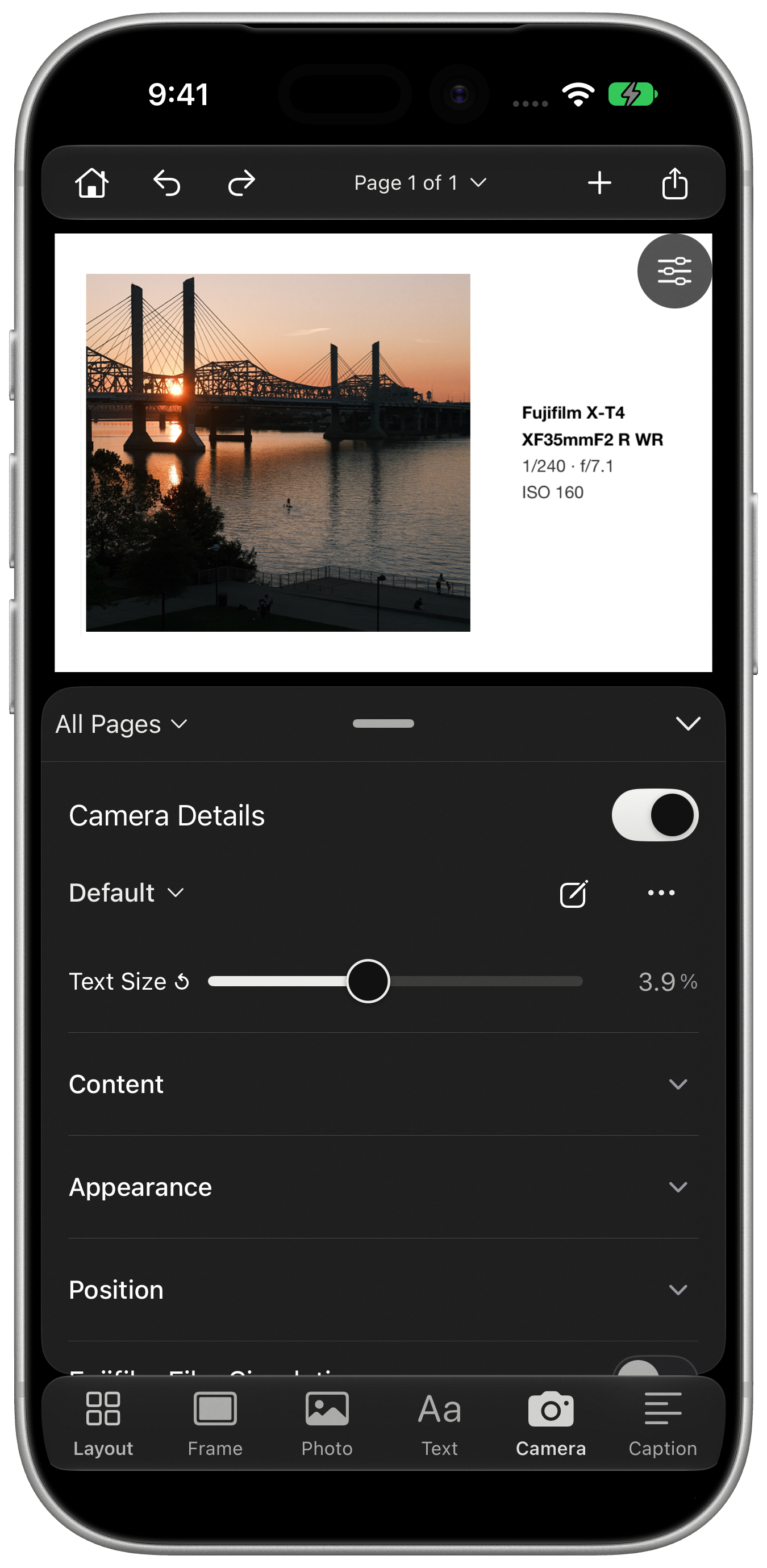 Camera Details controls on iPhone.